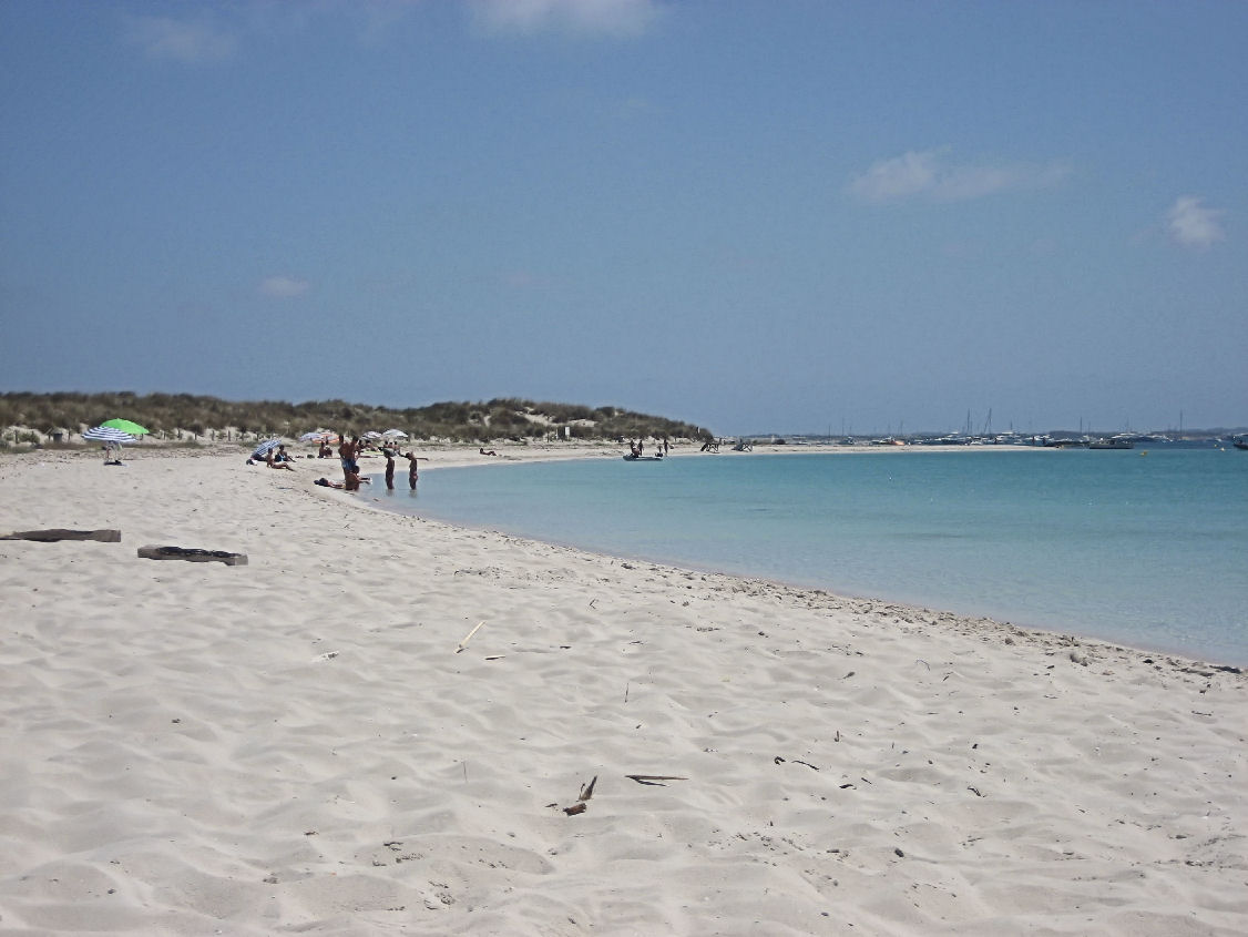 Platja de s'Alga - Image 1