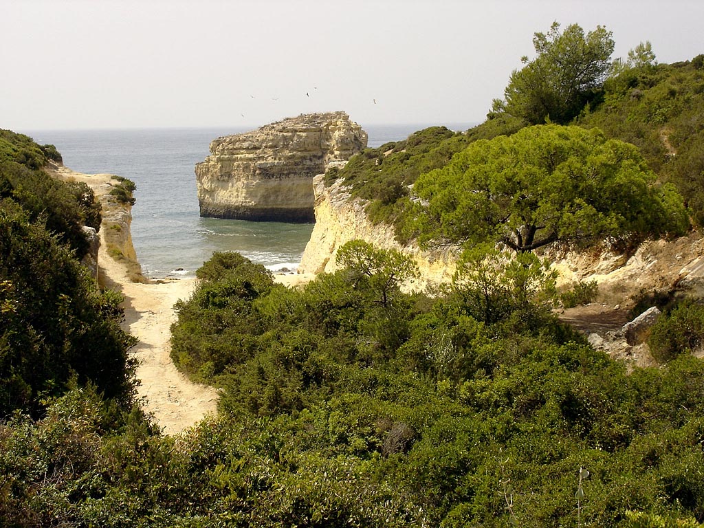 Praia do Barranquinho - Image 1