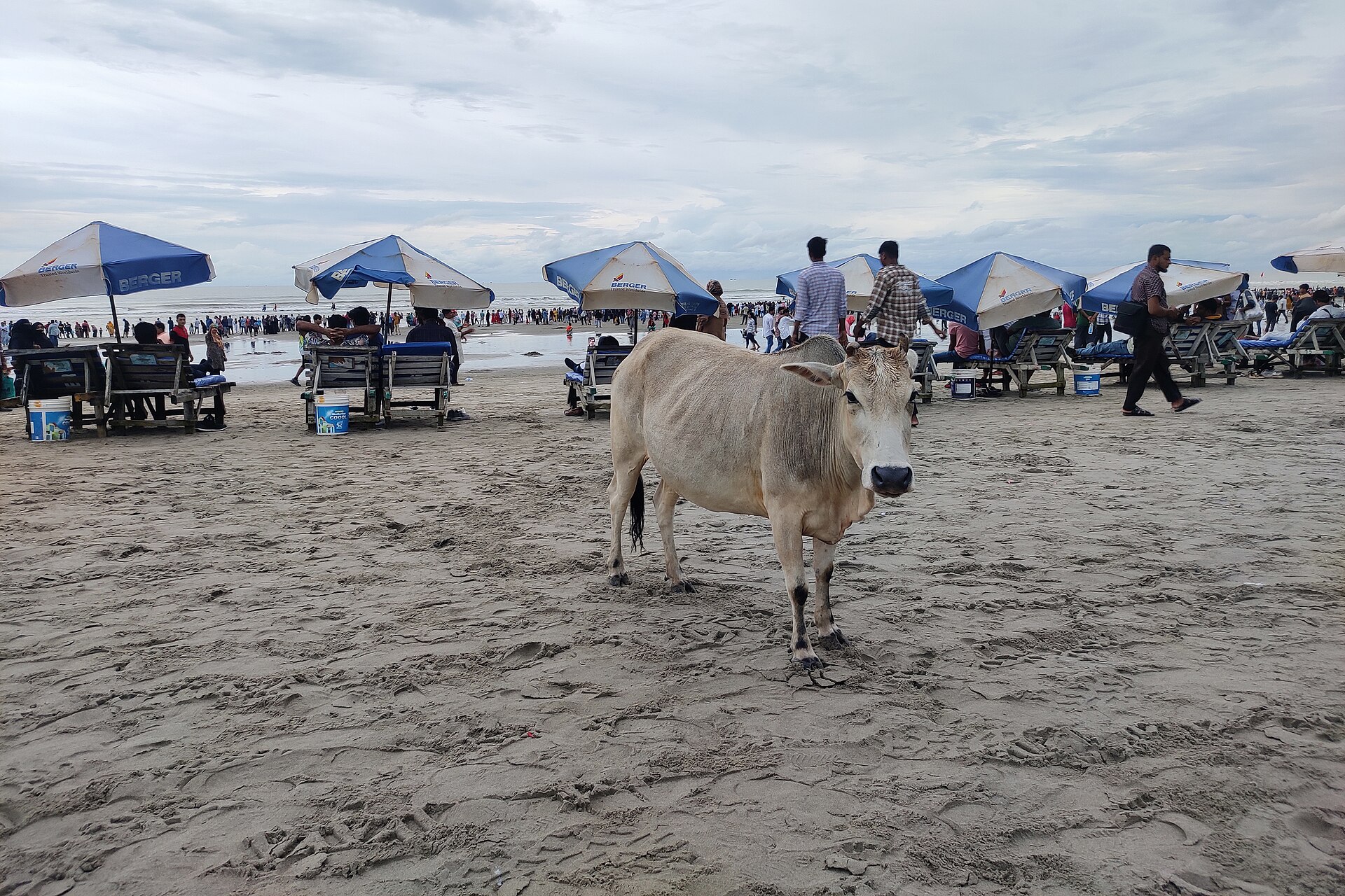 Sugandha Beach - Image 1