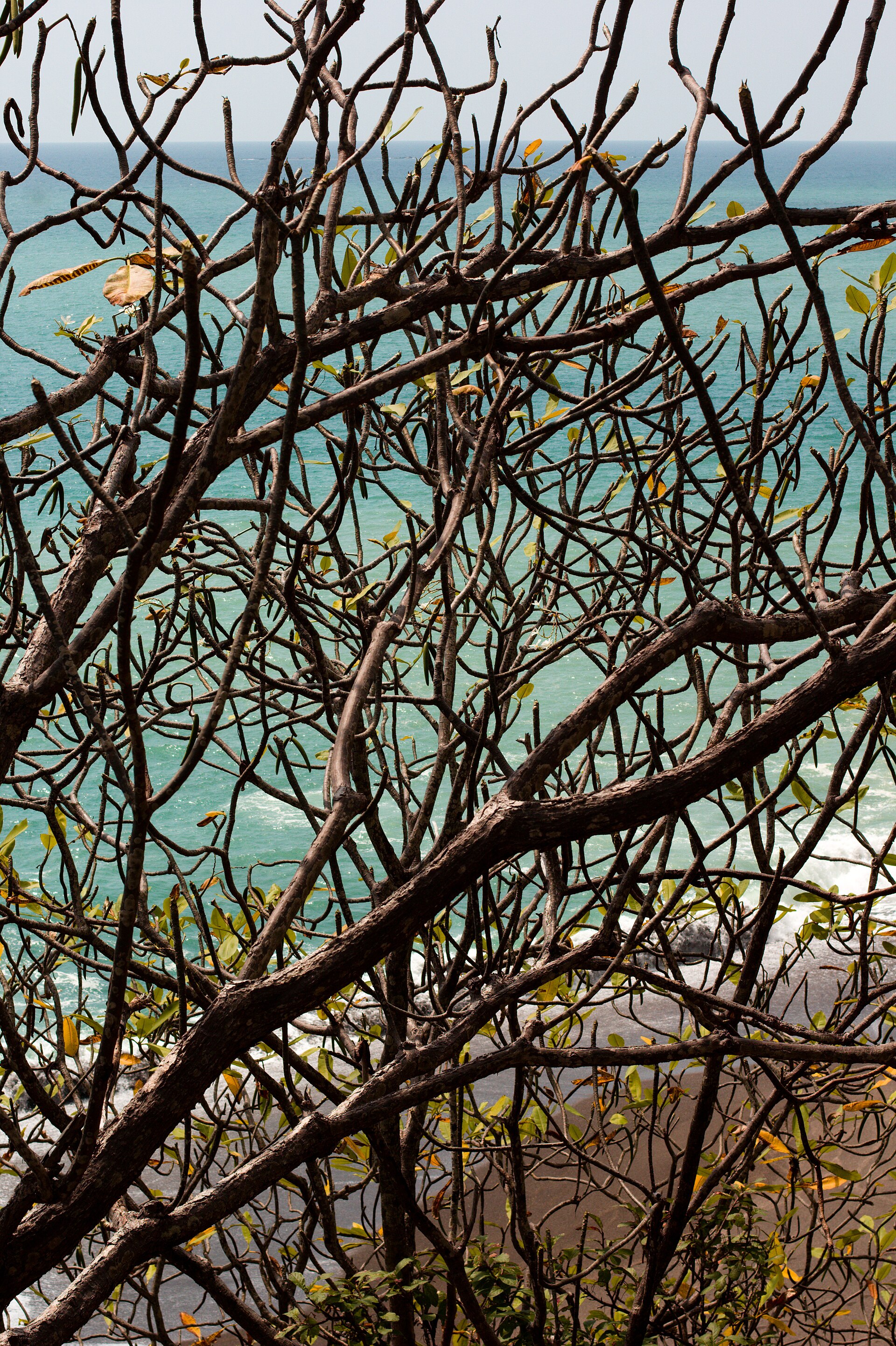 Playa Cambutal - Image 1