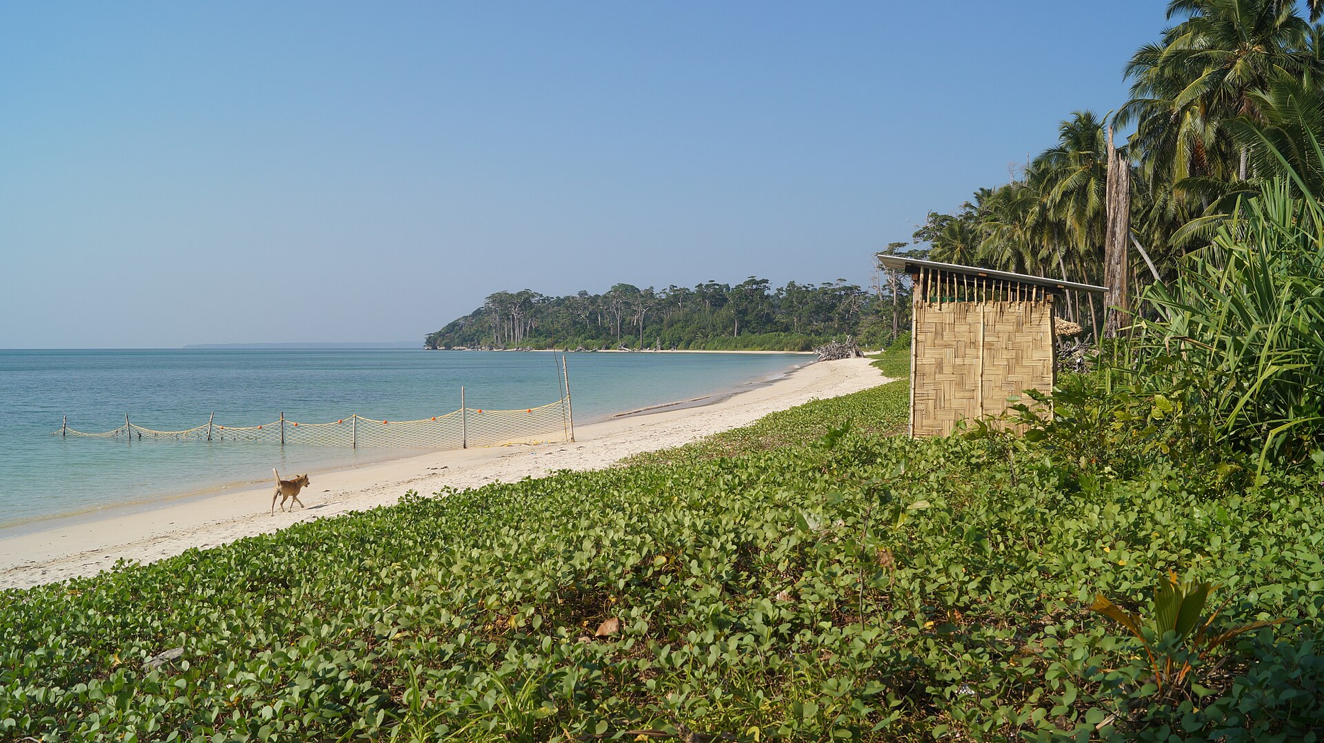 Wandoor - Image 1