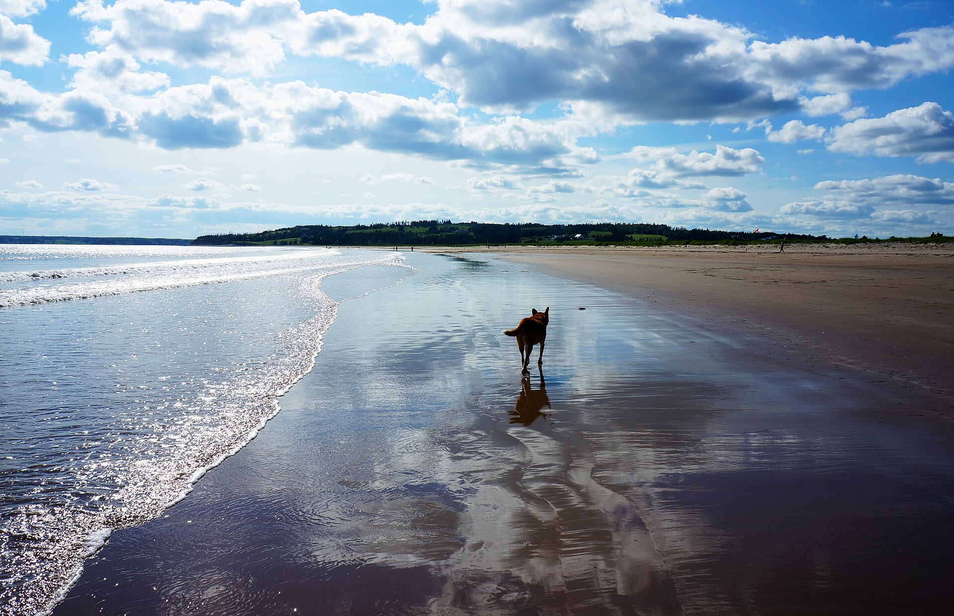 Conrad's Beach - Image 1
