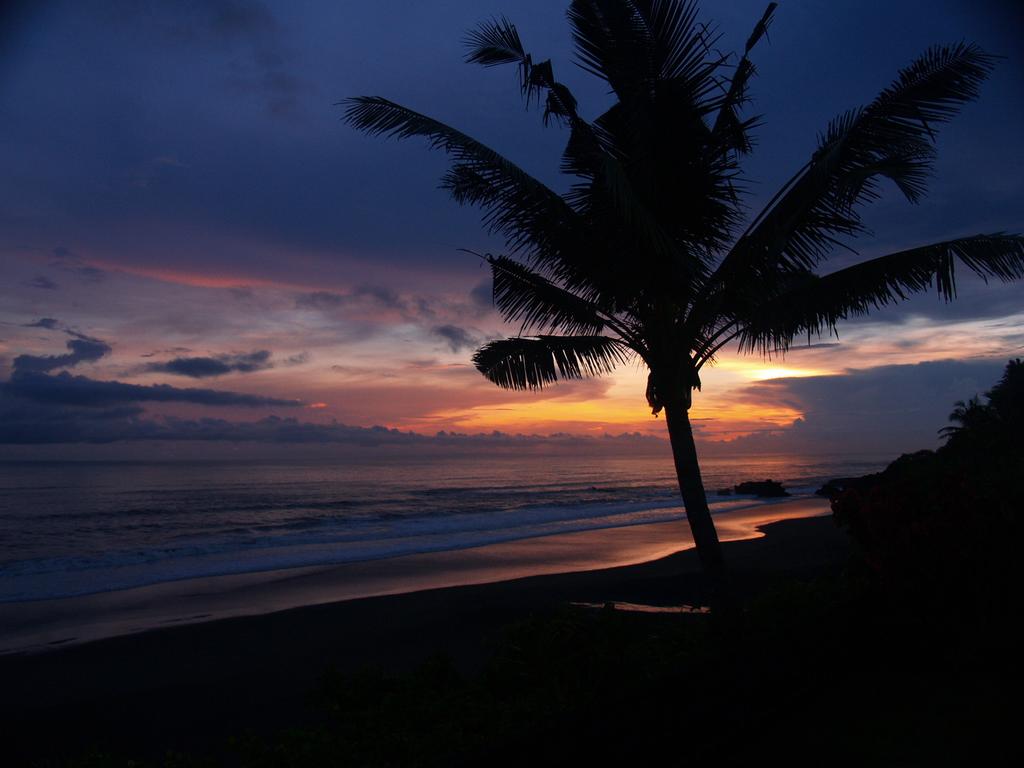 Medewi - Image 1