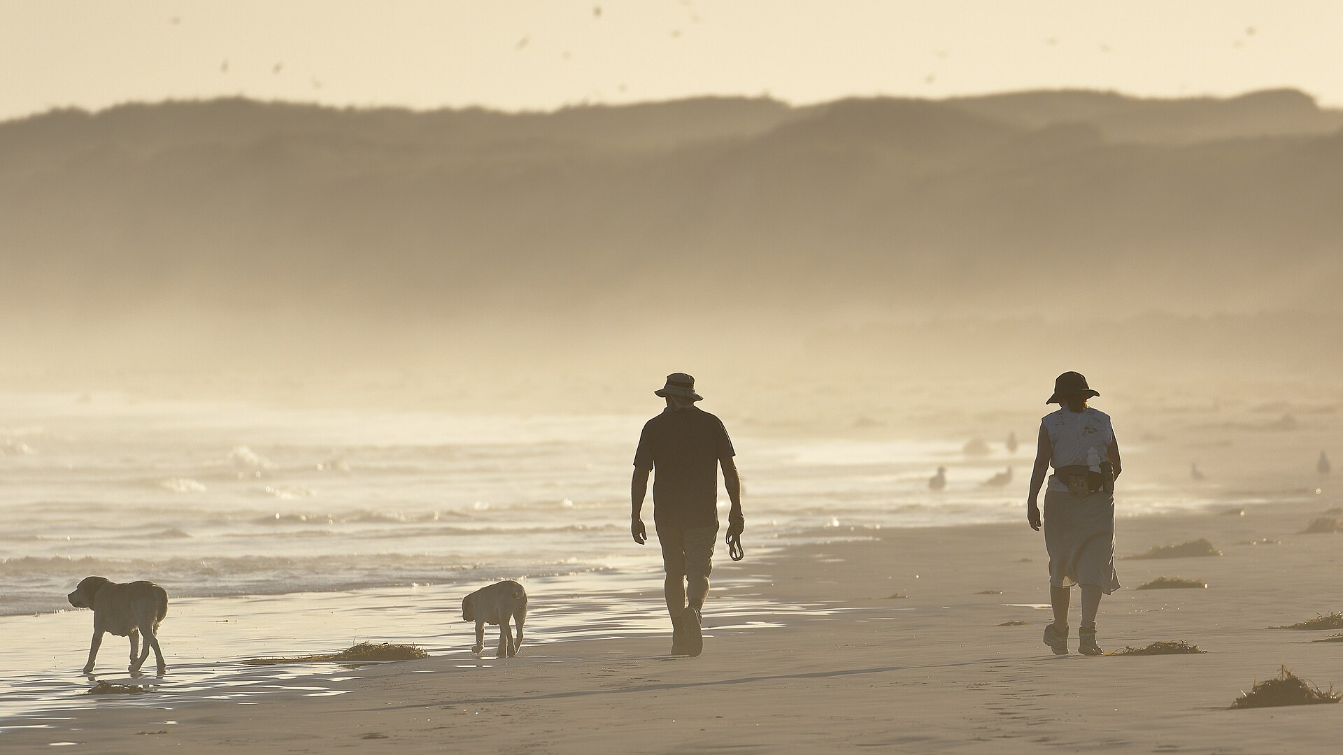 East Beach - Image 1