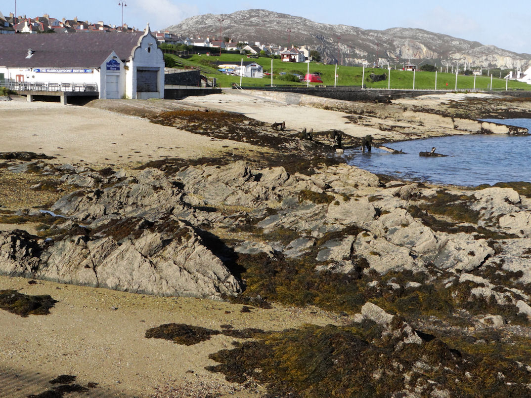 Newry Beach - Image 1