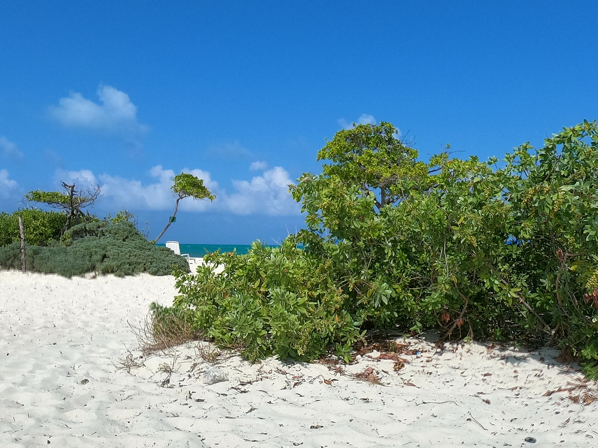 Isla Blanca Beach - Image 1