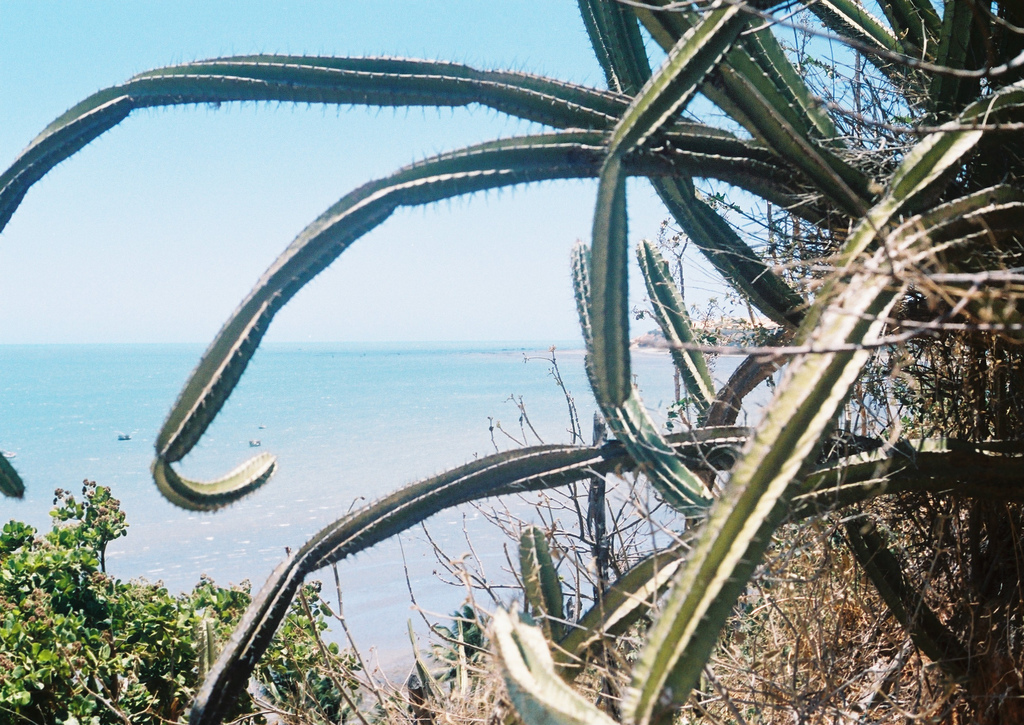 Praia de Retiro Grande - Image 1