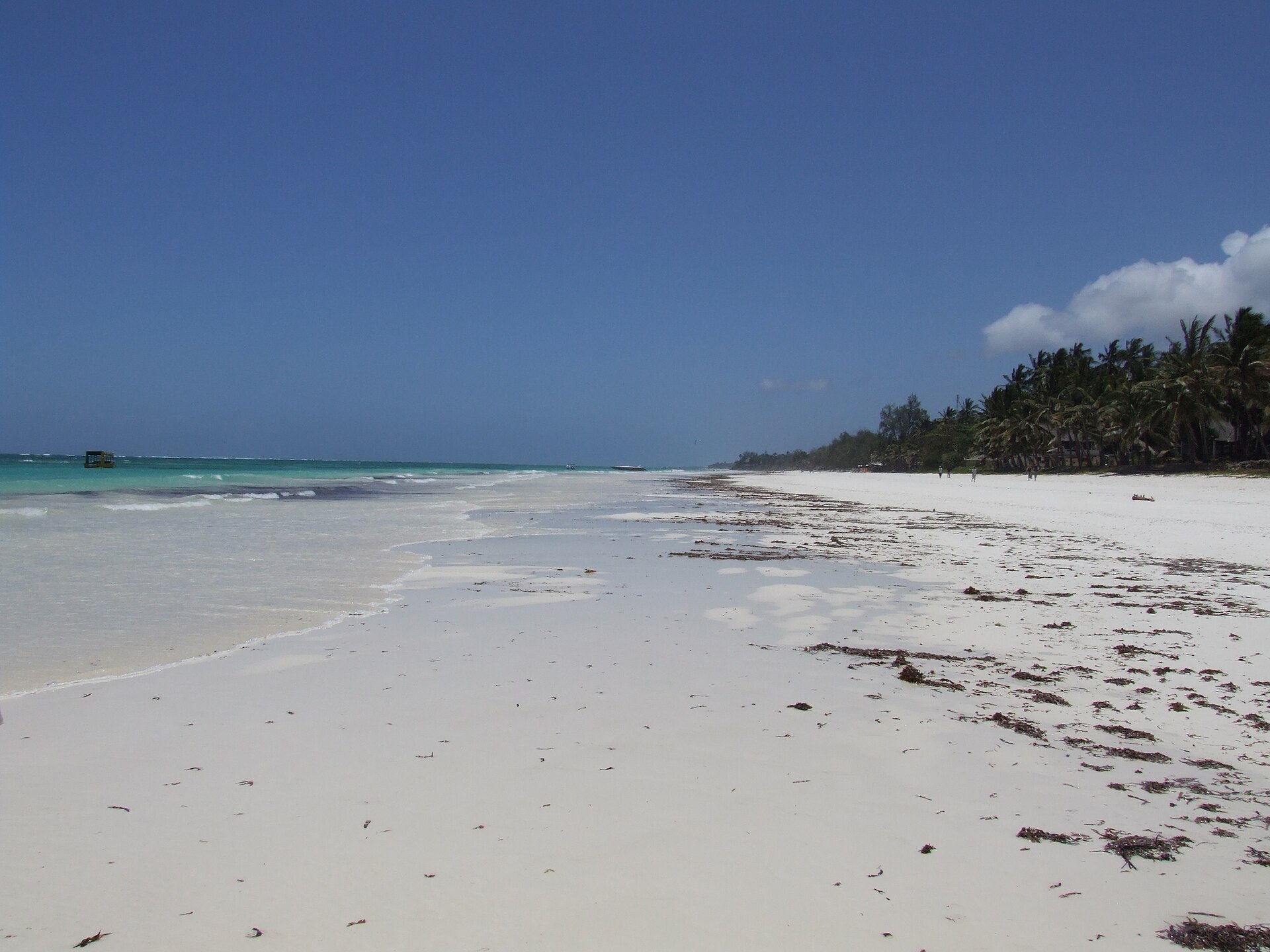 Diani Beach - Image 1