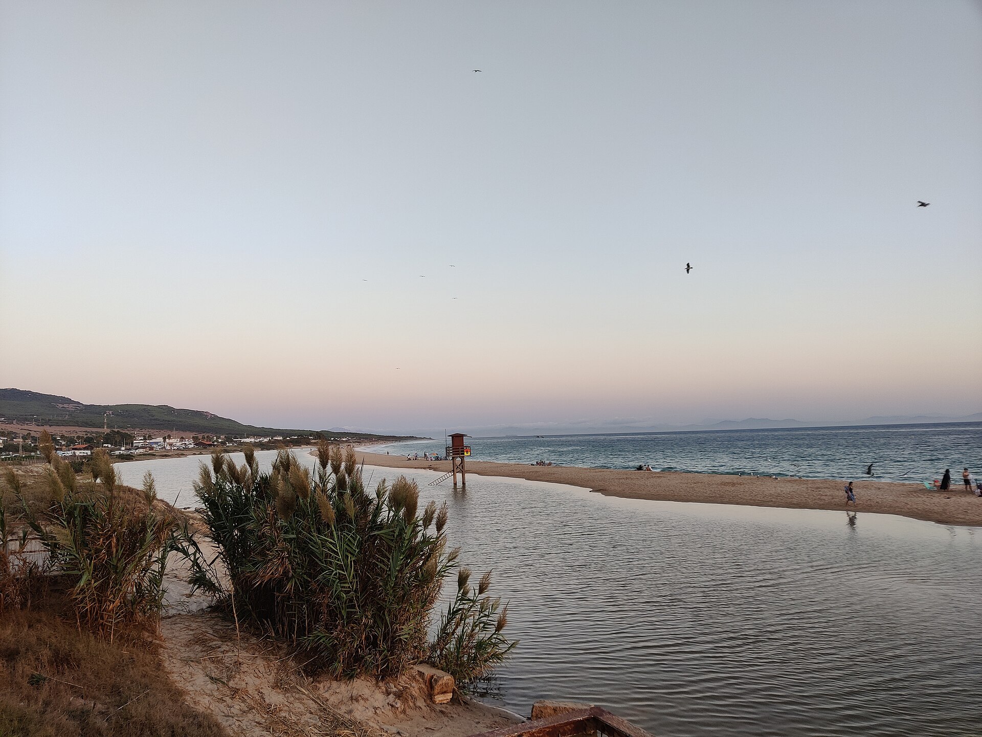Bolonia Beach - Image 1