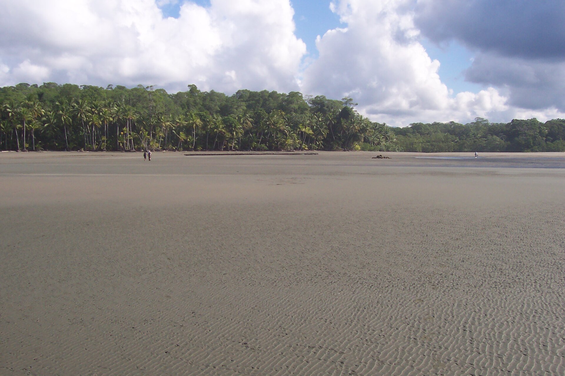 Playa la Llorona - Image 1
