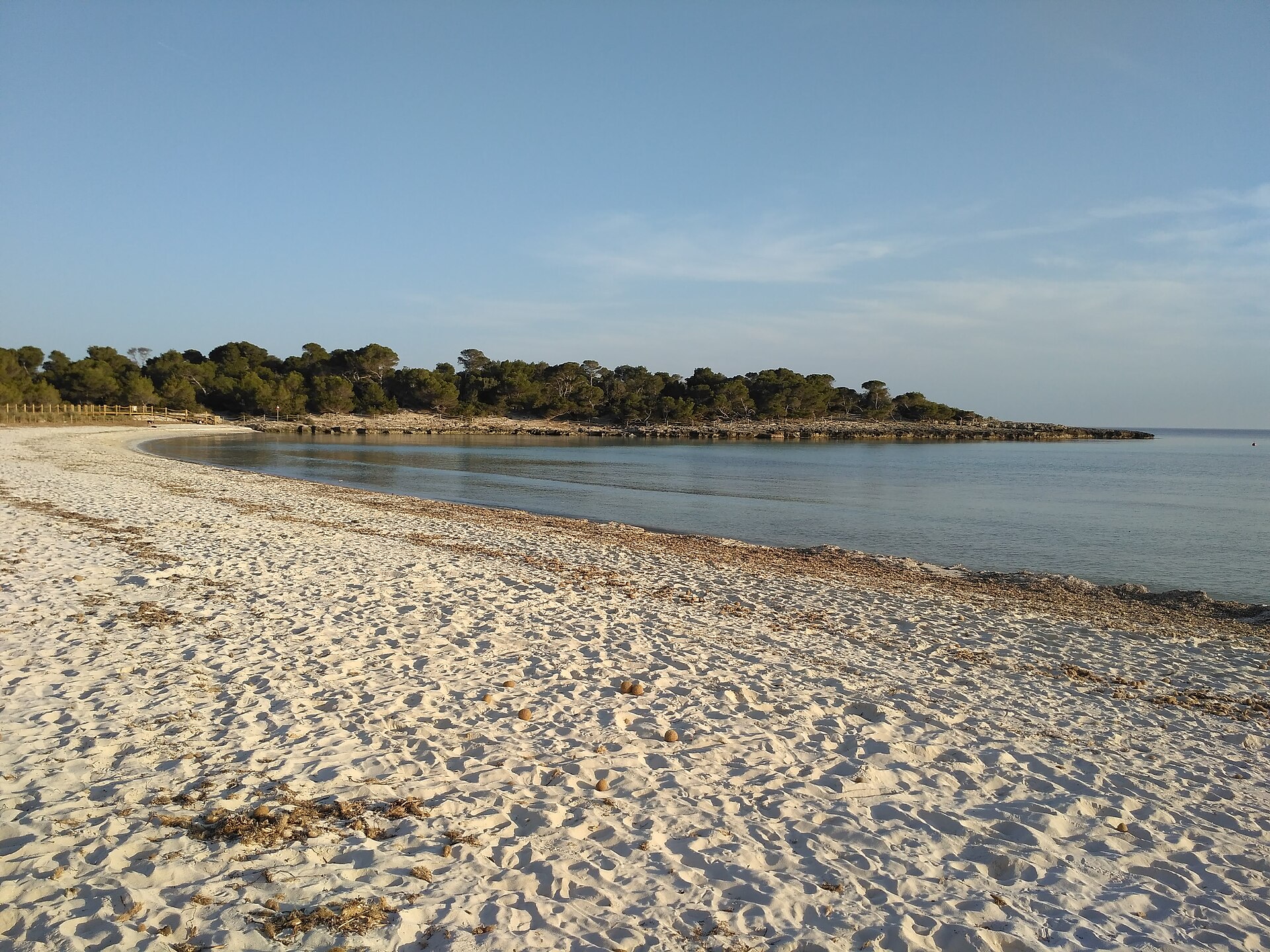 Son Saura - Image 1