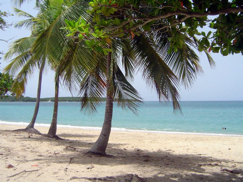 Playa Sun Bay - Image 1