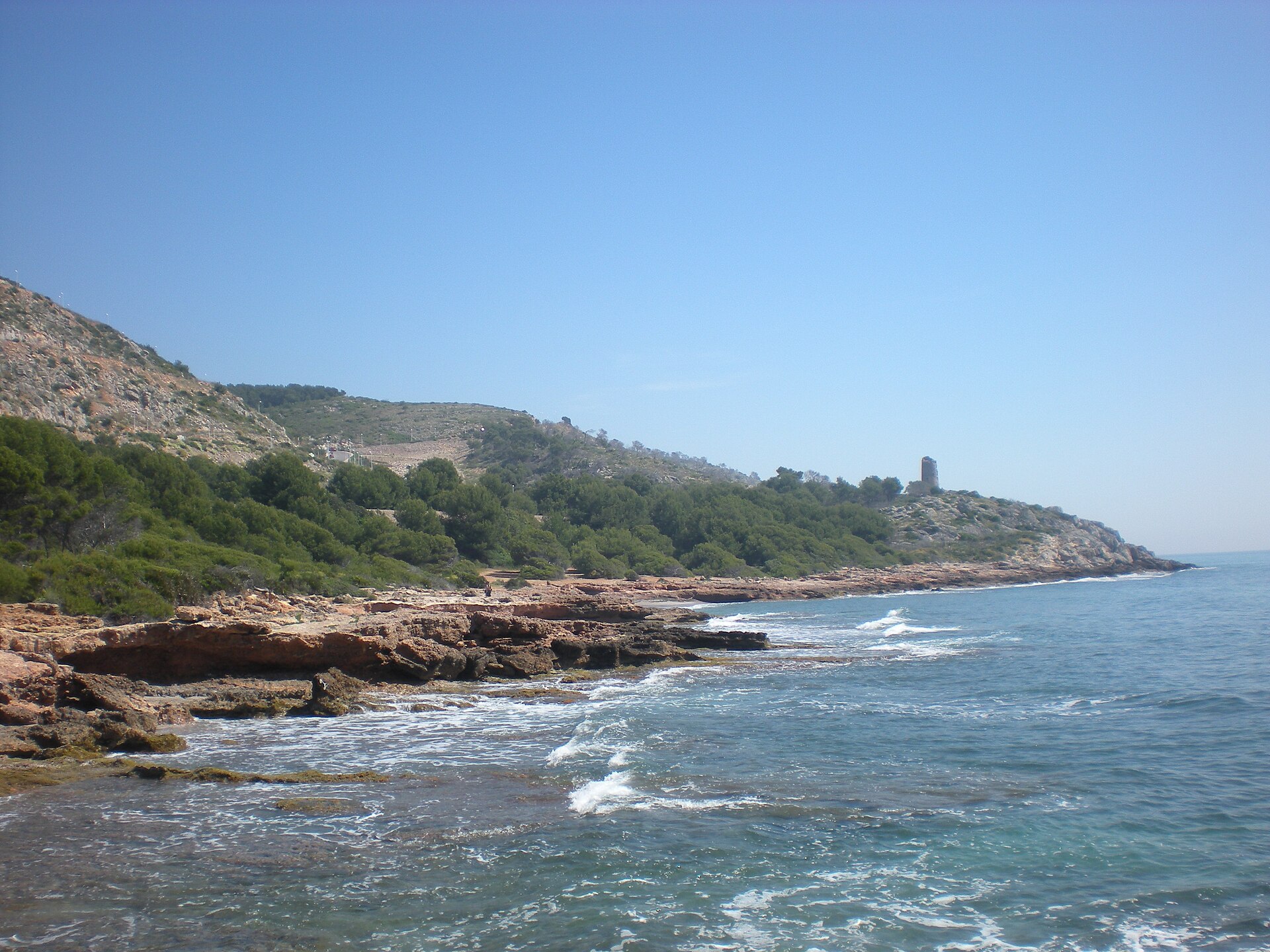 Renega - Image 1