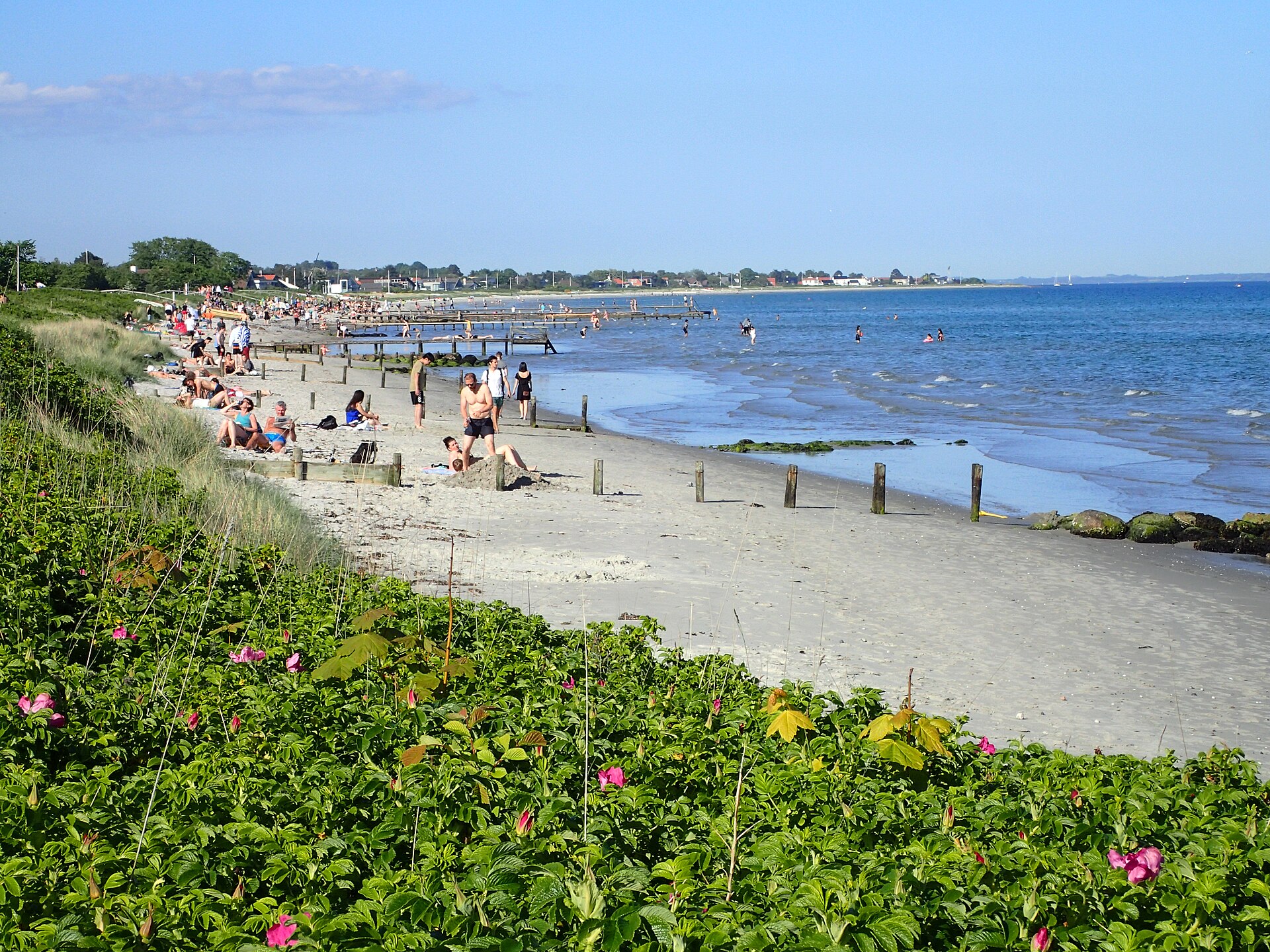 Bellevue Beach - Image 1