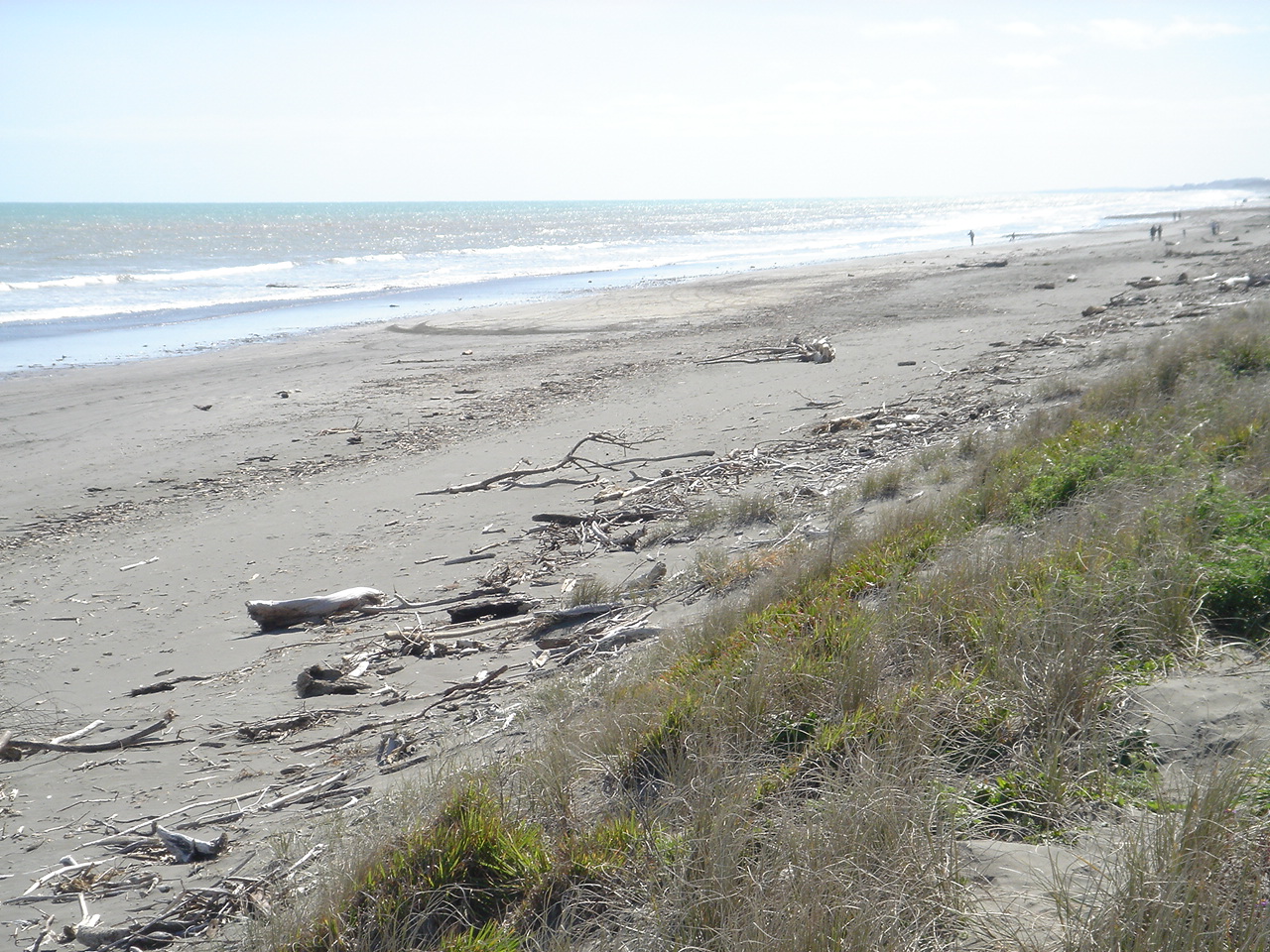 Peka Peka Beach - Image 1