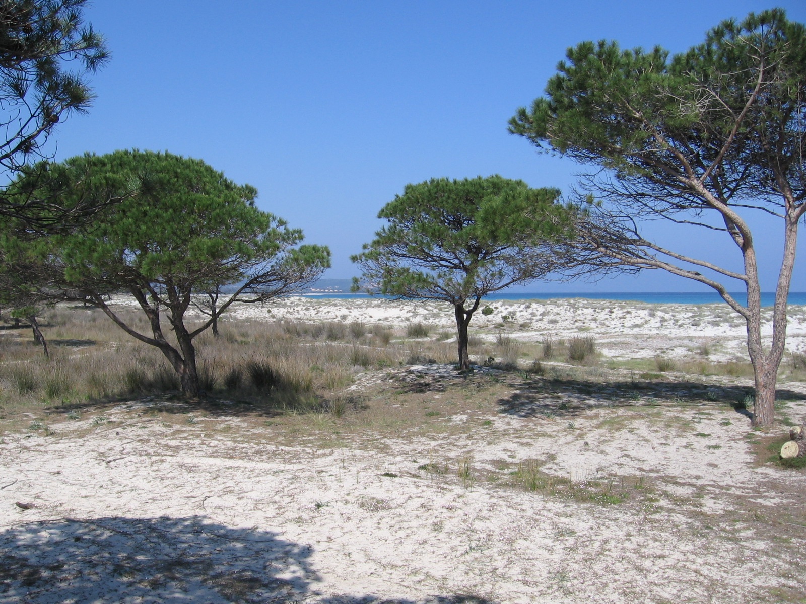 Spiaggia di Budoni - Image 1