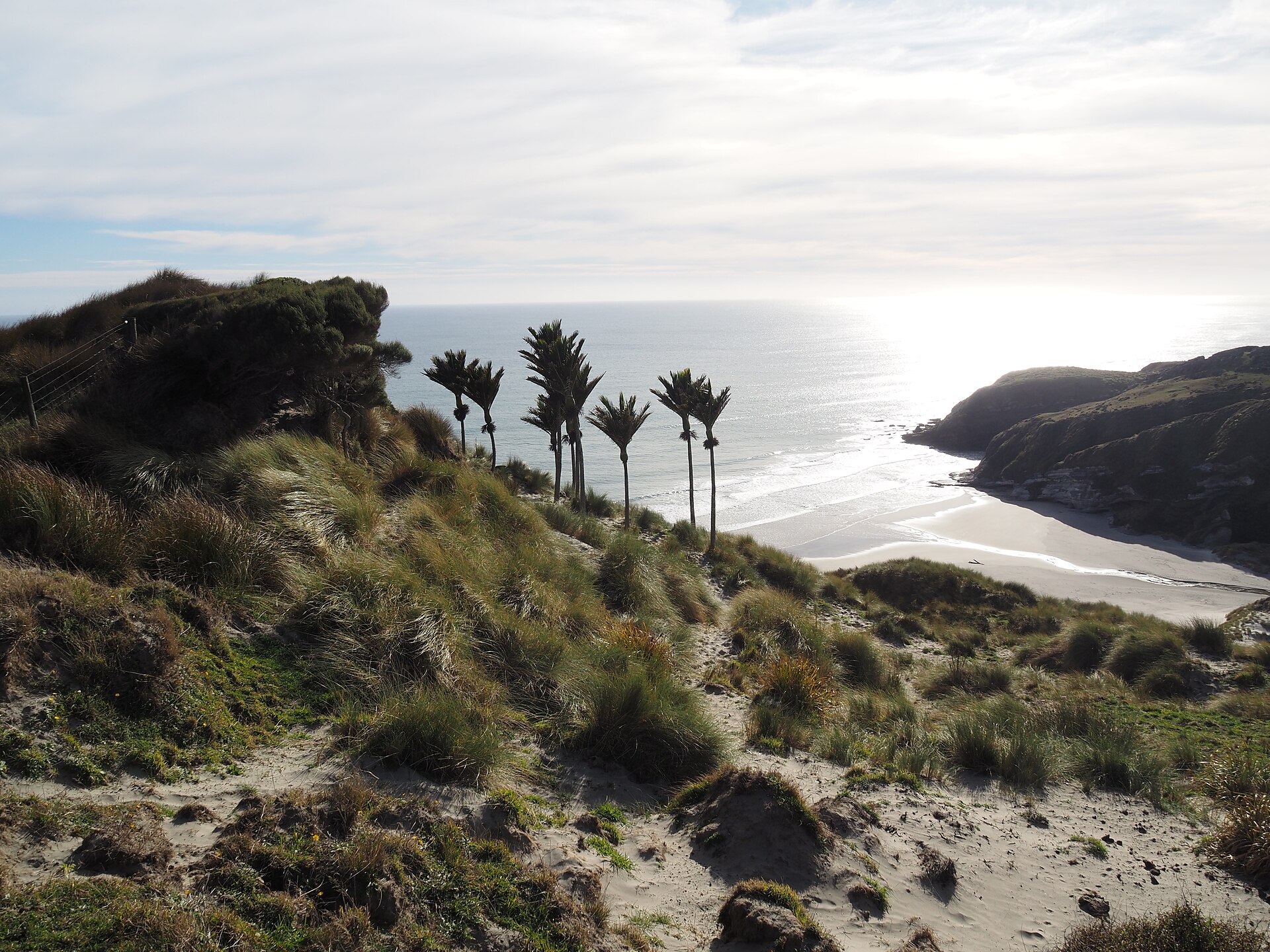 Kaihoka Beach - Image 1