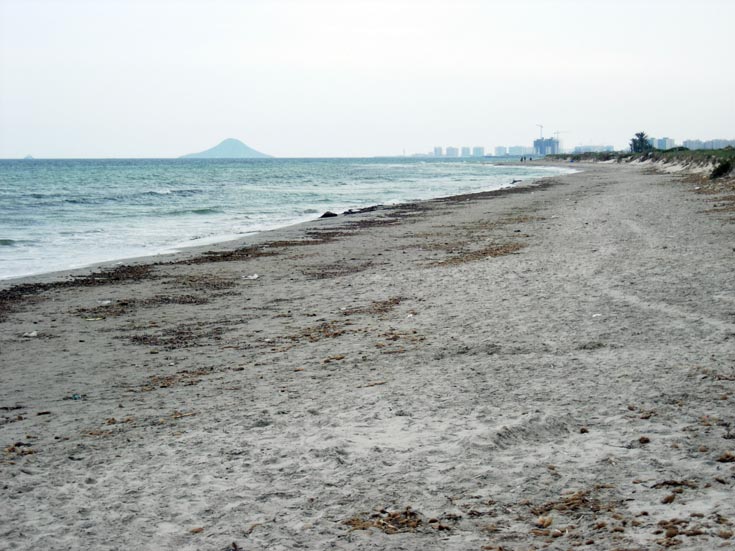 Playa de Las Salinas - Image 1