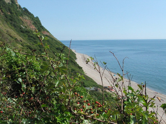 Weston Mouth - Image 1