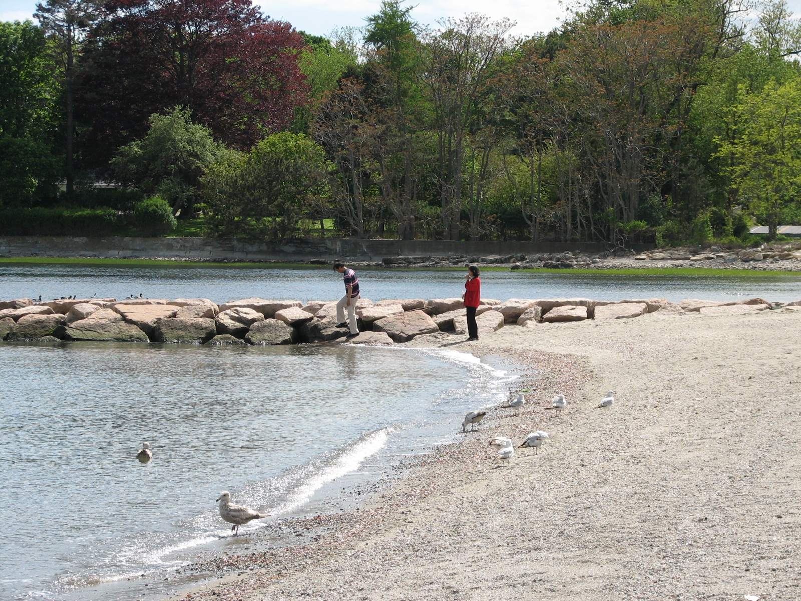 Southport Beach - Image 1