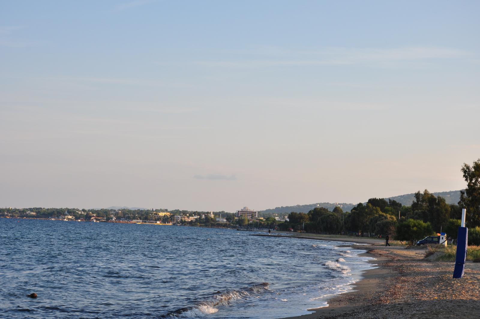 Brexiza - Image 1