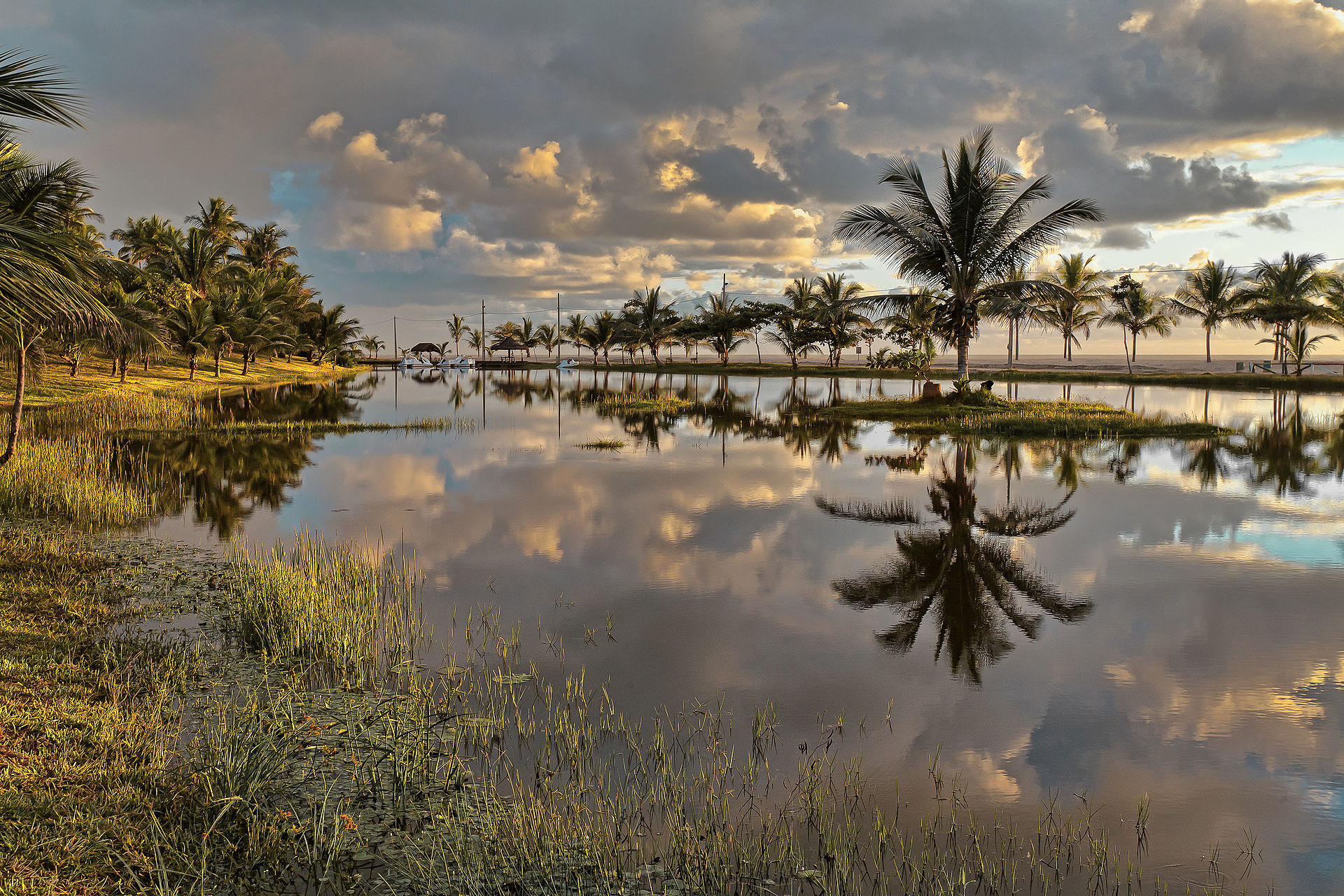 Guaratiba, Prado - Image 1