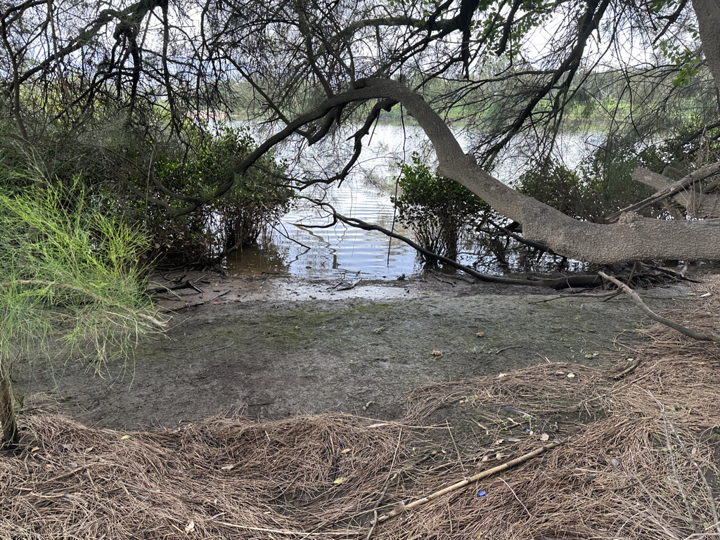 Backwater Beach - Image 1