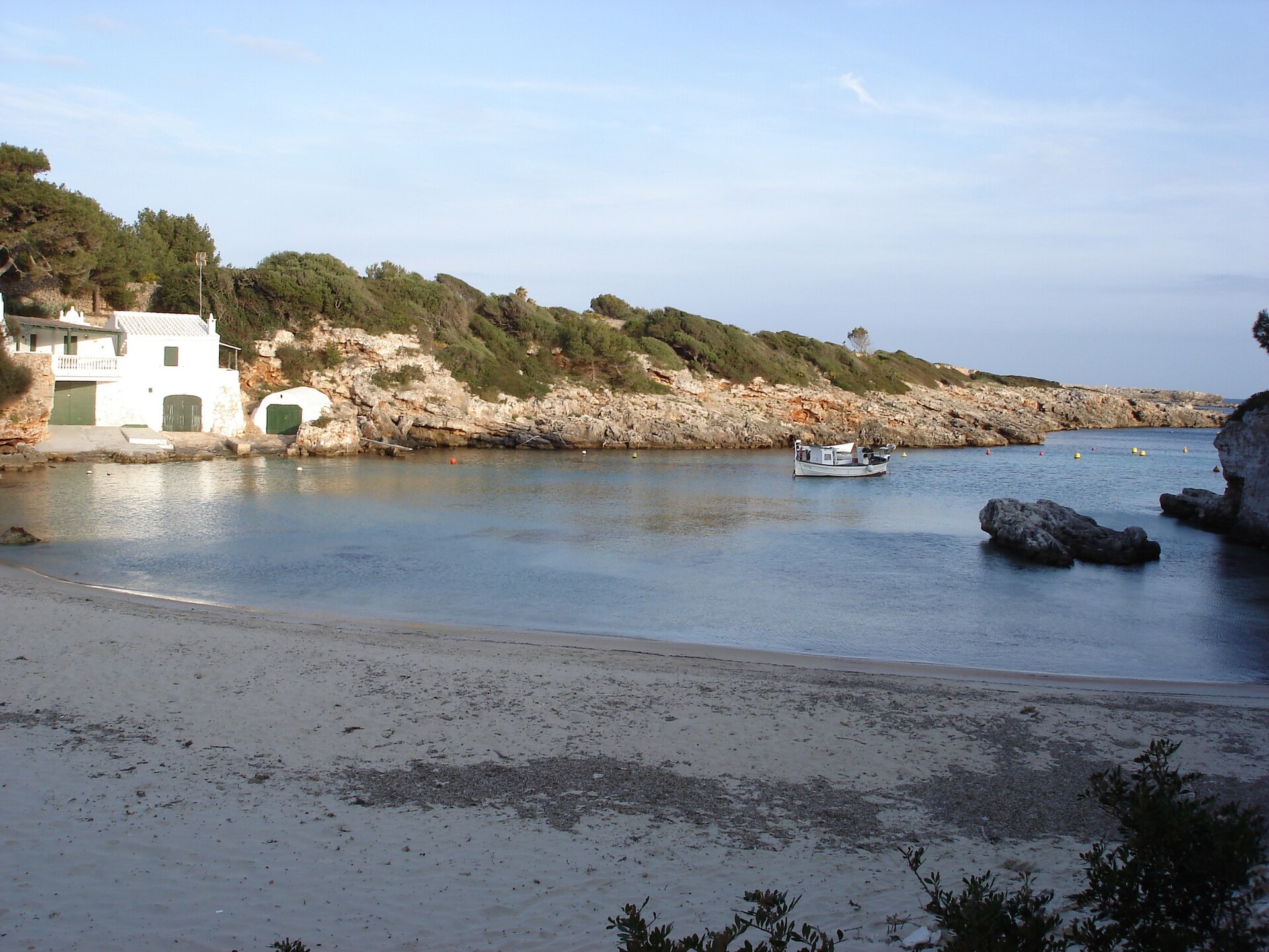 Binissafúller - Image 1