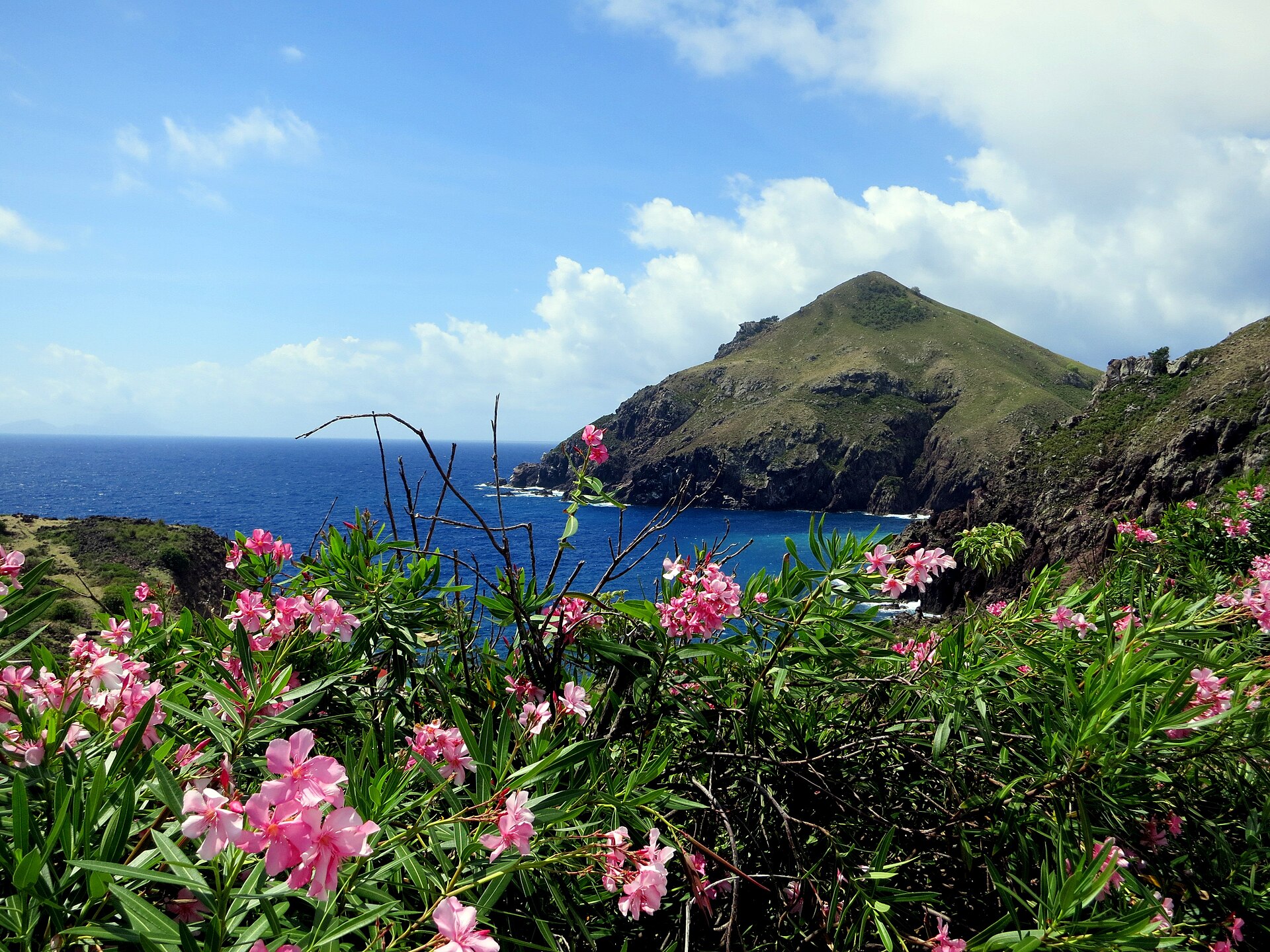 Cove Bay - Image 1