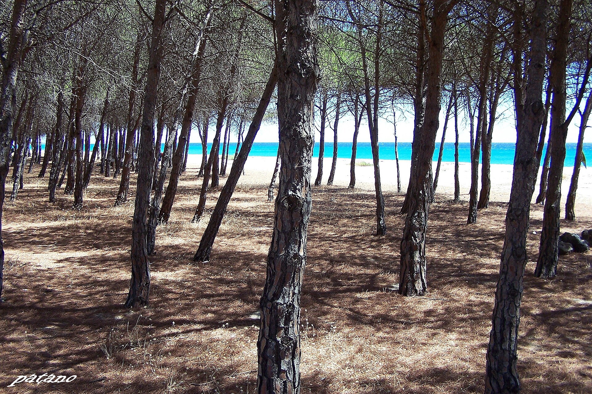 Spiaggia di Su Barone - Image 1