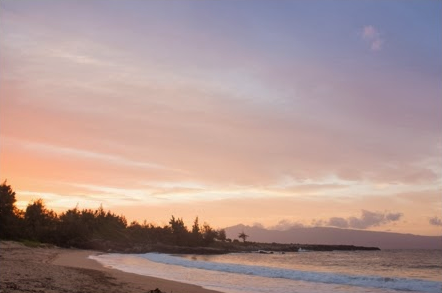 D.T. Fleming Beach - Image 1