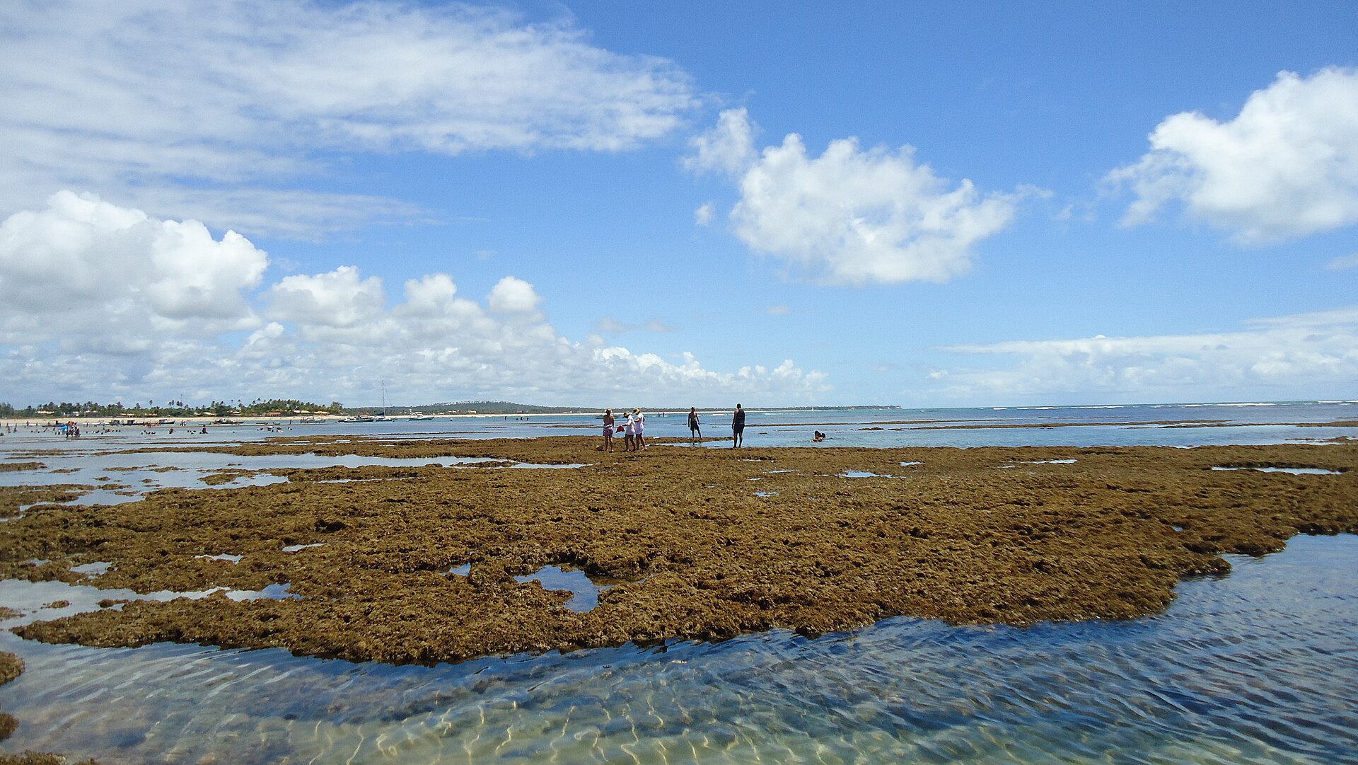 Itacimirim beach - Image 1