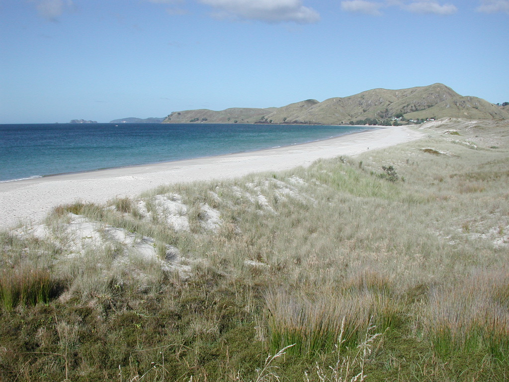Otama Beach - Image 1