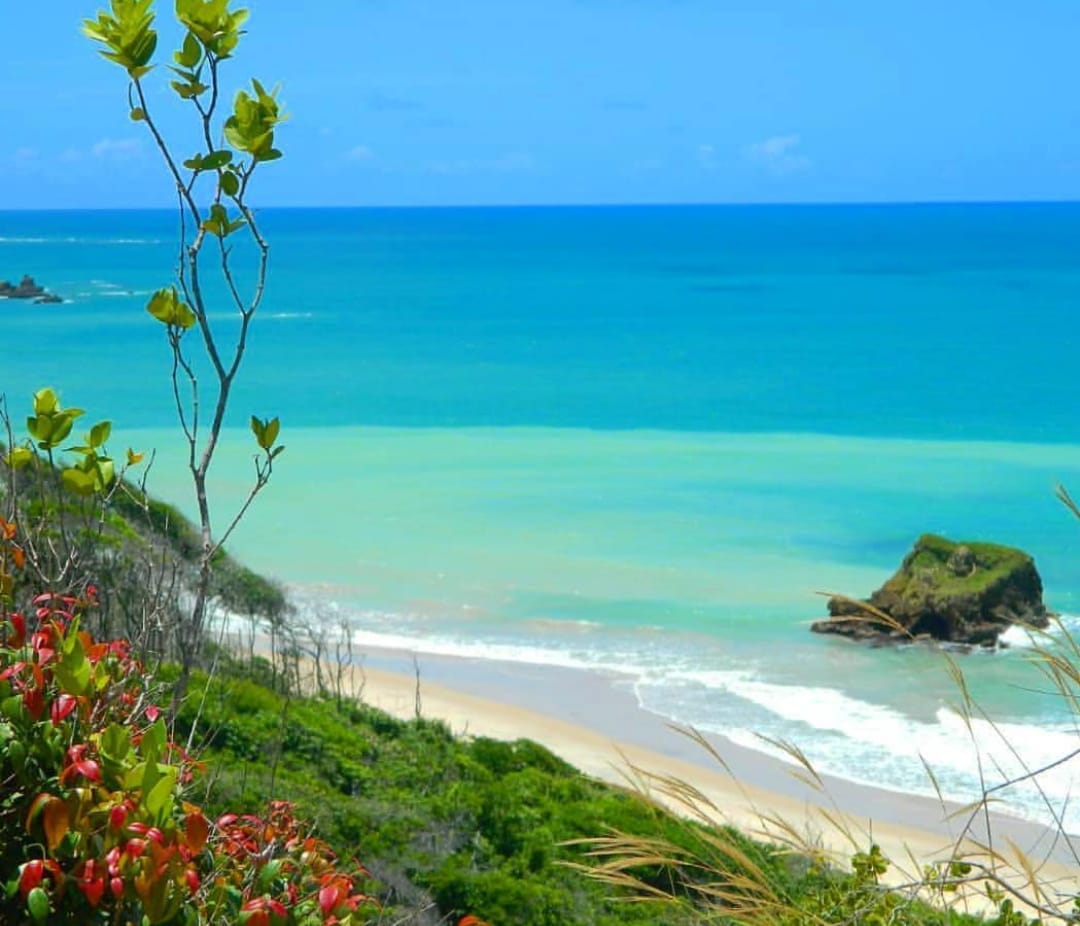 Arapuca beach - Image 1