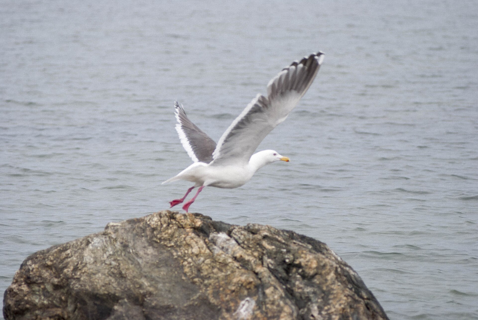 Starodubskoye beach - Image 1
