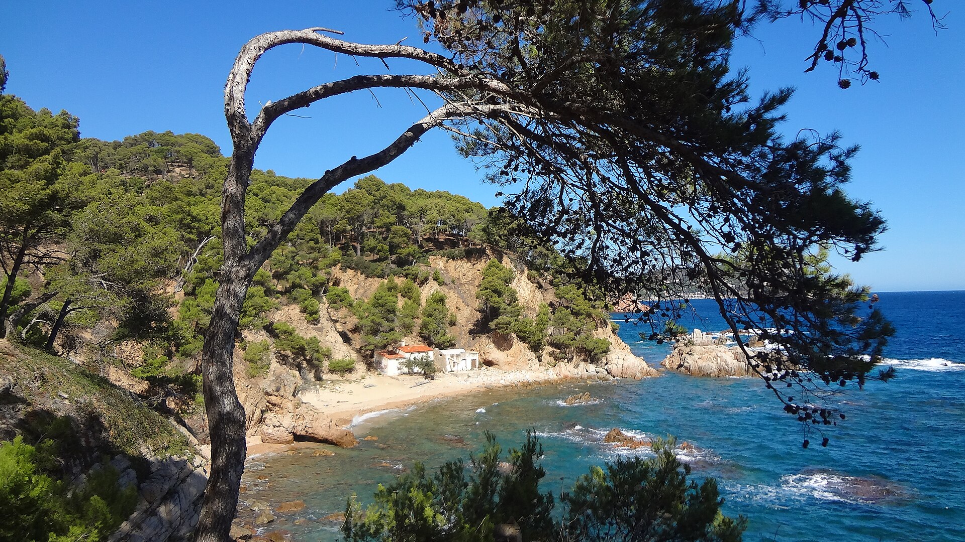 Cala de Crit - Image 1