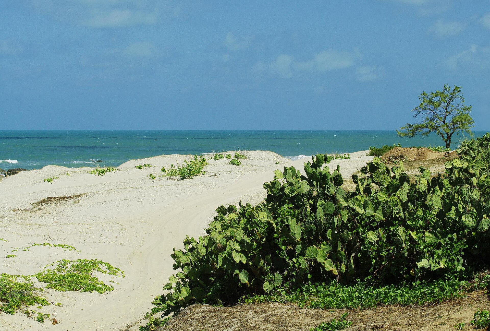 Praia do Iguape - Image 1