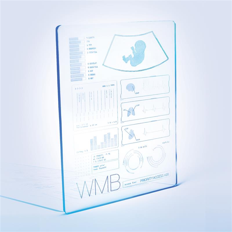 WOMB 2.0 - Image 1