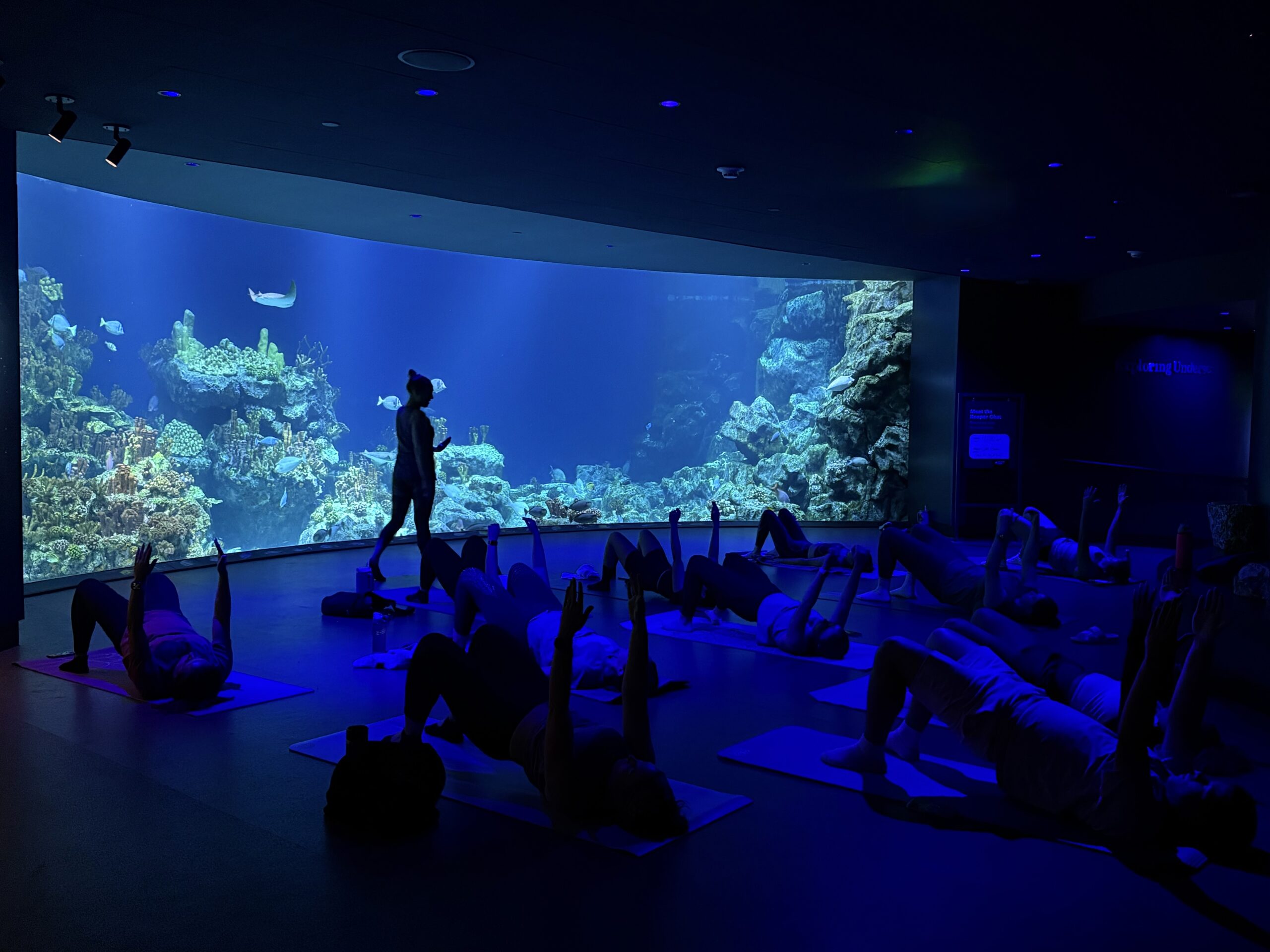 Zoolates: Pilates at the Zoo — June 2026 - Image 1