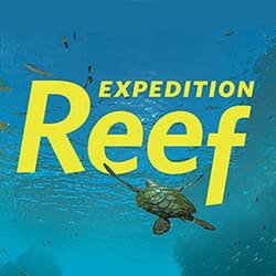 Expedition Reef - Image 1