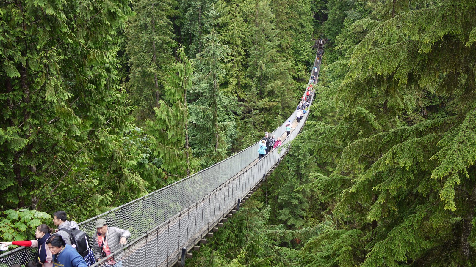 Capilano Suspension Bridge - Image 1