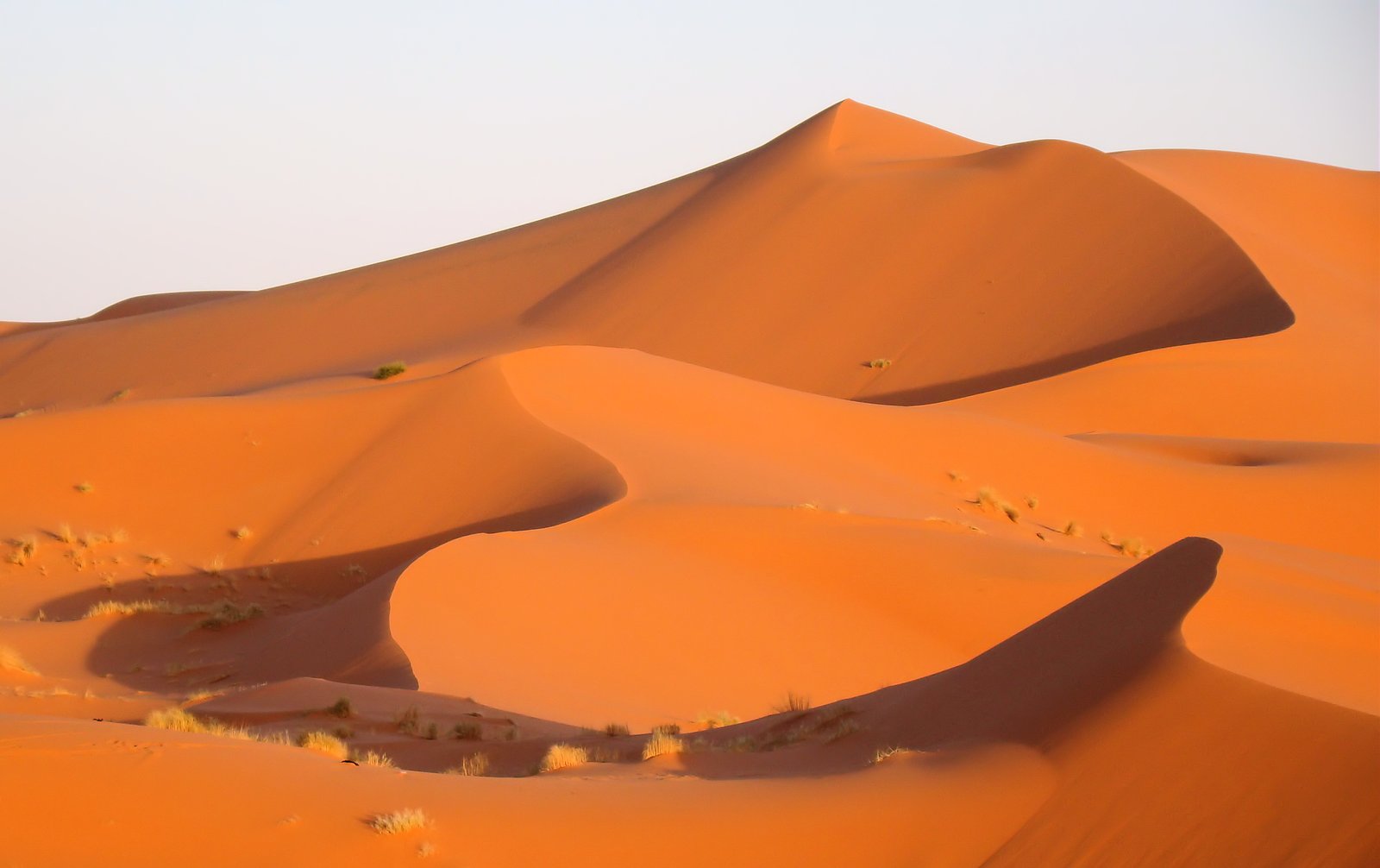 Erg Chebbi (Sahara) - Image 1