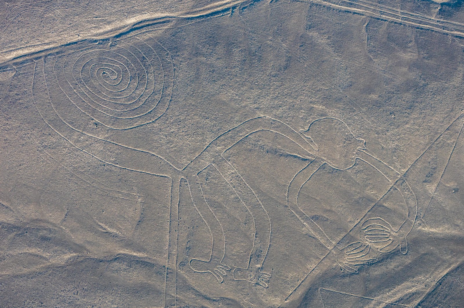 Nazca Lines - Image 1