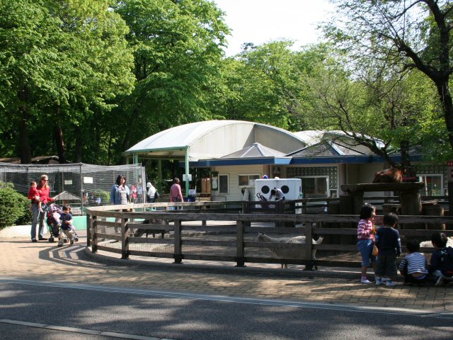 Inokashira Park Zoo - Image 1