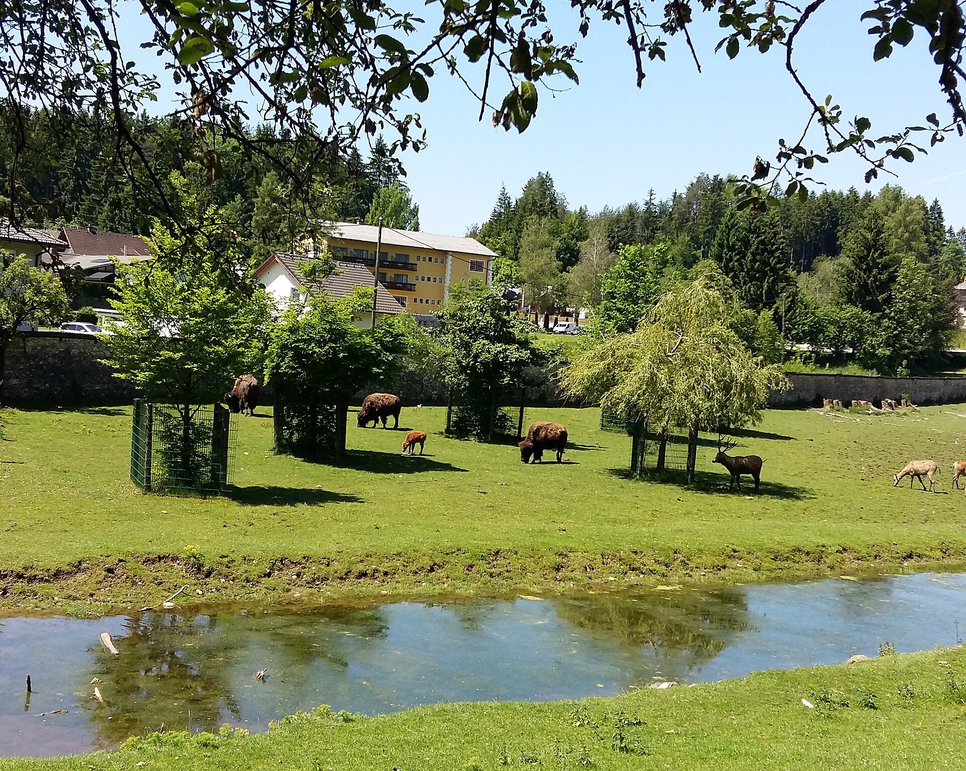 Tierpark Rosegg - Image 1
