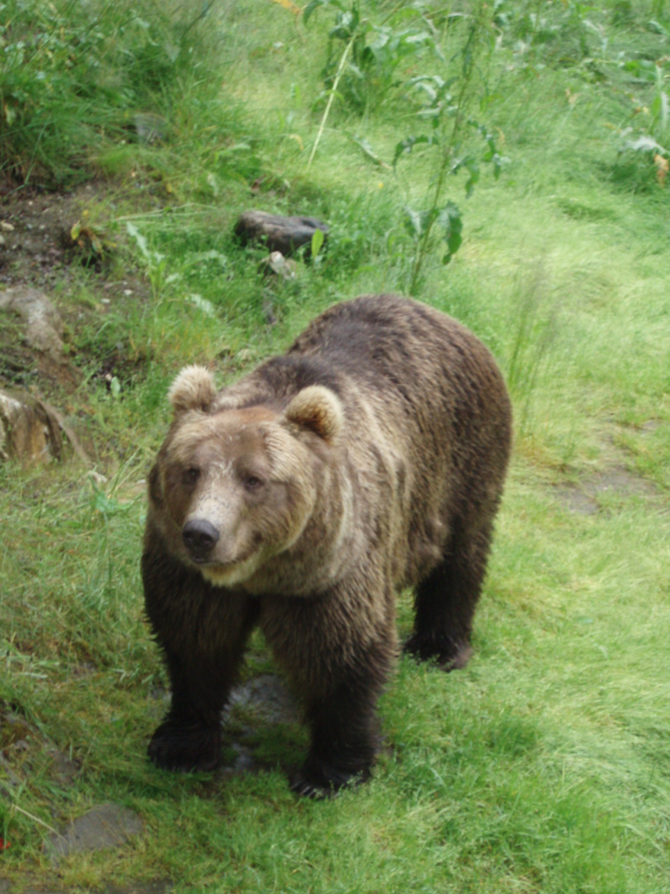 Polar Park - Image 1