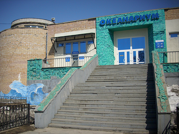 Oceanarium of Vladivostok - Image 1