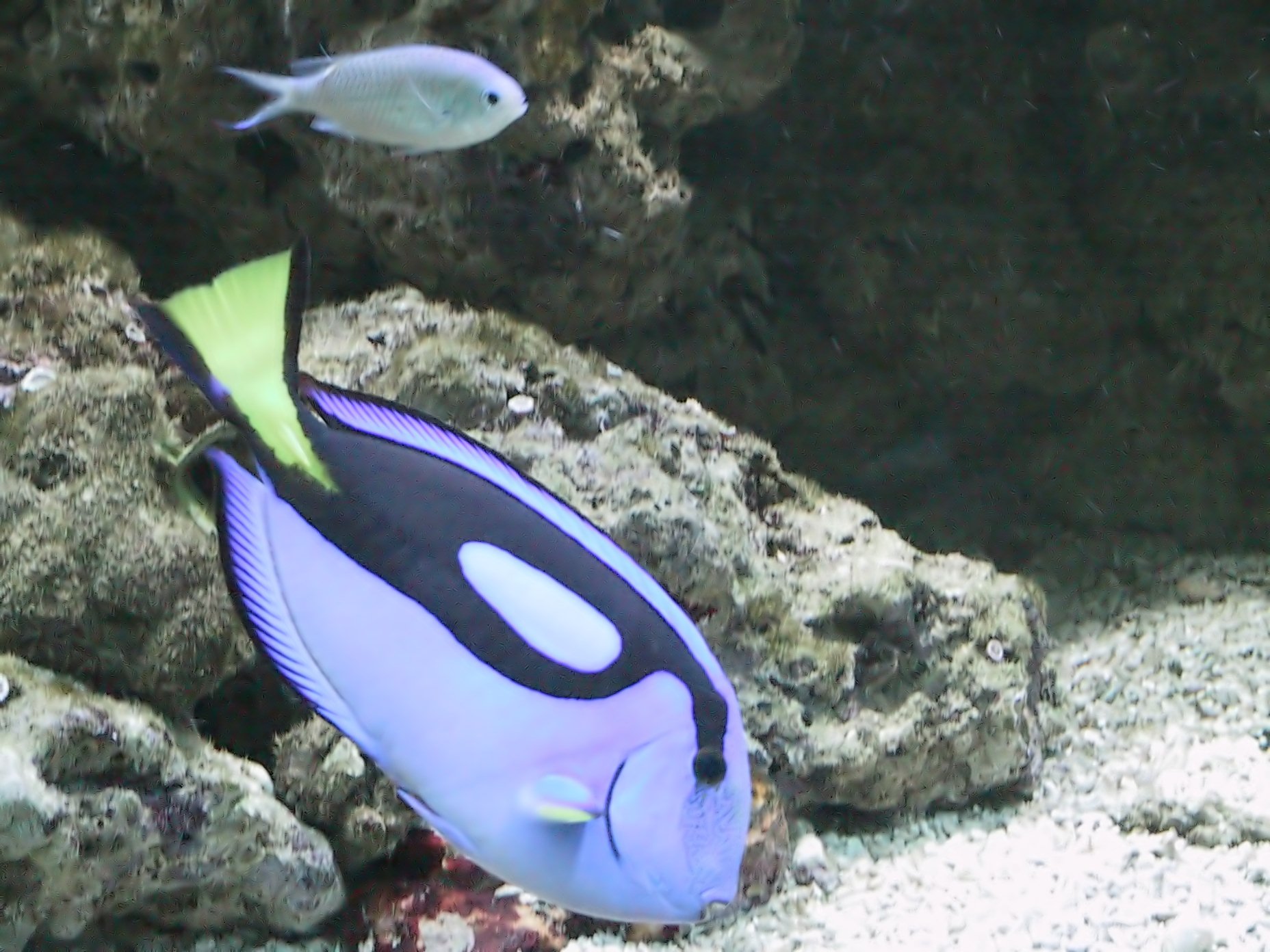 Aquarium of Syracuse - Image 1