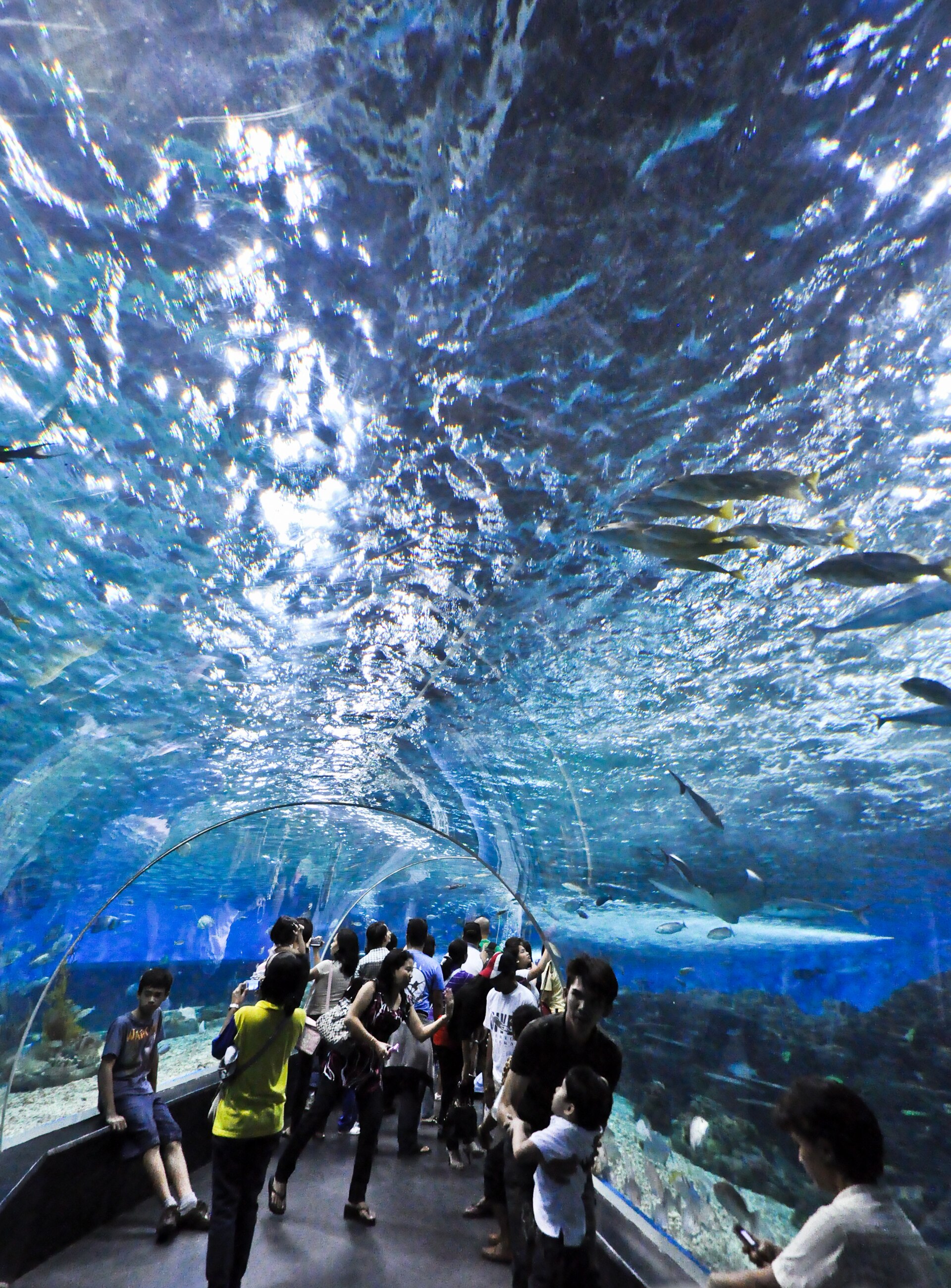 Manila Ocean Park - Image 1