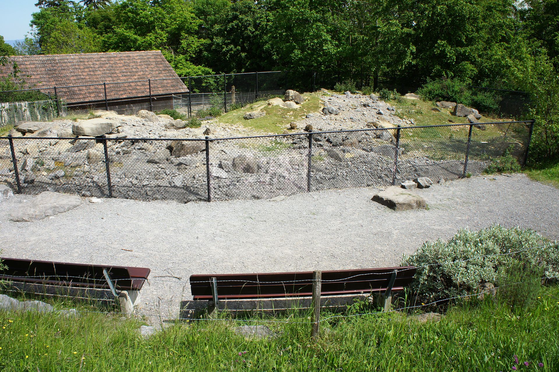 Wildpark Peter und Paul - Image 1